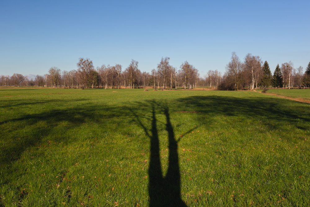 Lauteracherried im Jänner 10